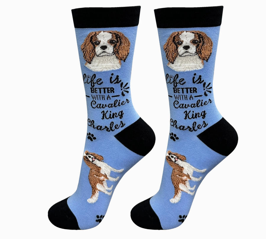 Cavalier King Charles - Life is Better Socks - Premium Socks from Sock Daddy - Just $9.95! Shop now at Pat's Monograms