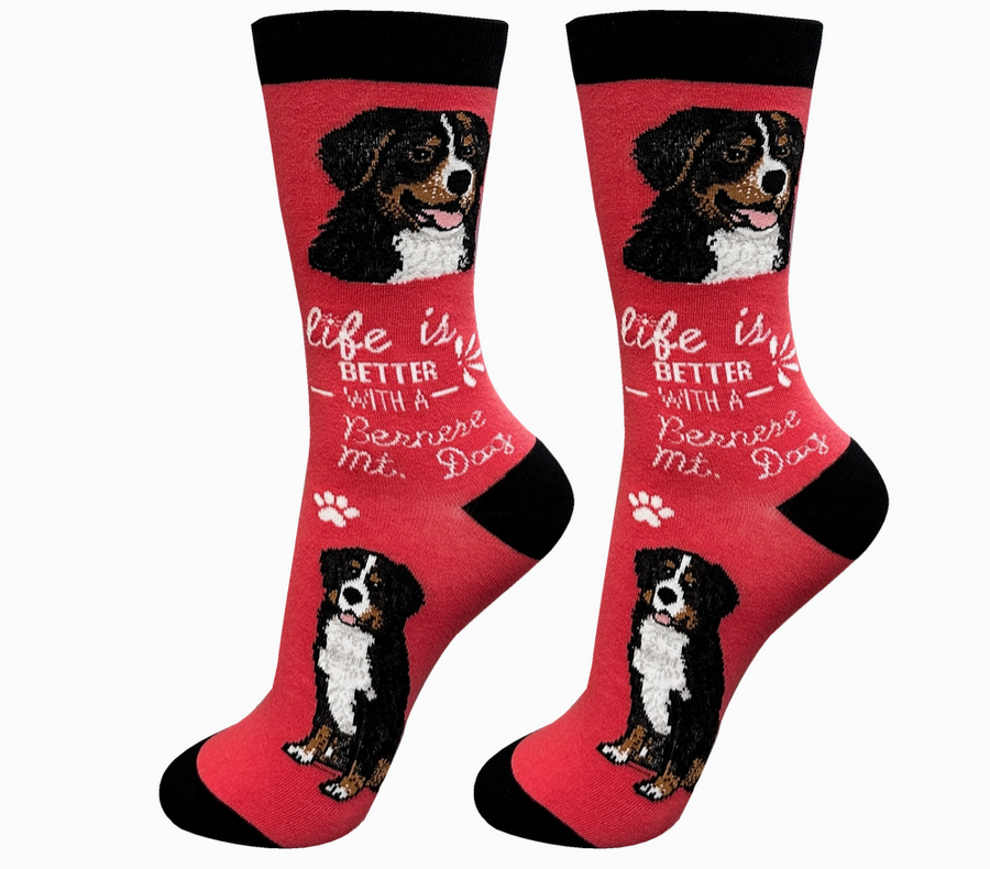 Bernese Mountain Dog - Life is Better Socks - Premium Socks from Sock Daddy - Just $9.95! Shop now at Pat's Monograms