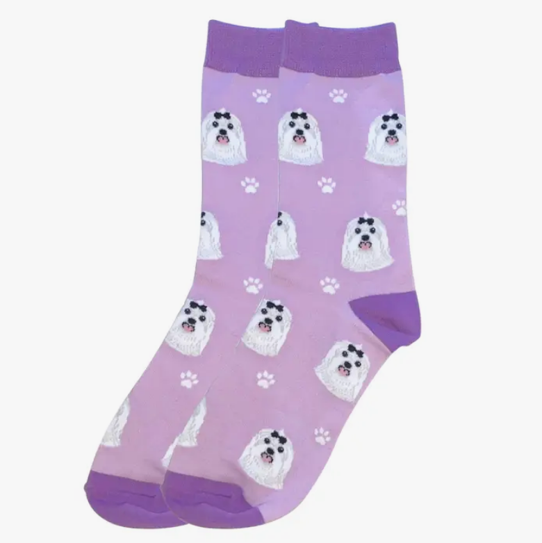 Maltese Socks - Premium Socks from Sock Daddy - Just $9.95! Shop now at Pat's Monograms