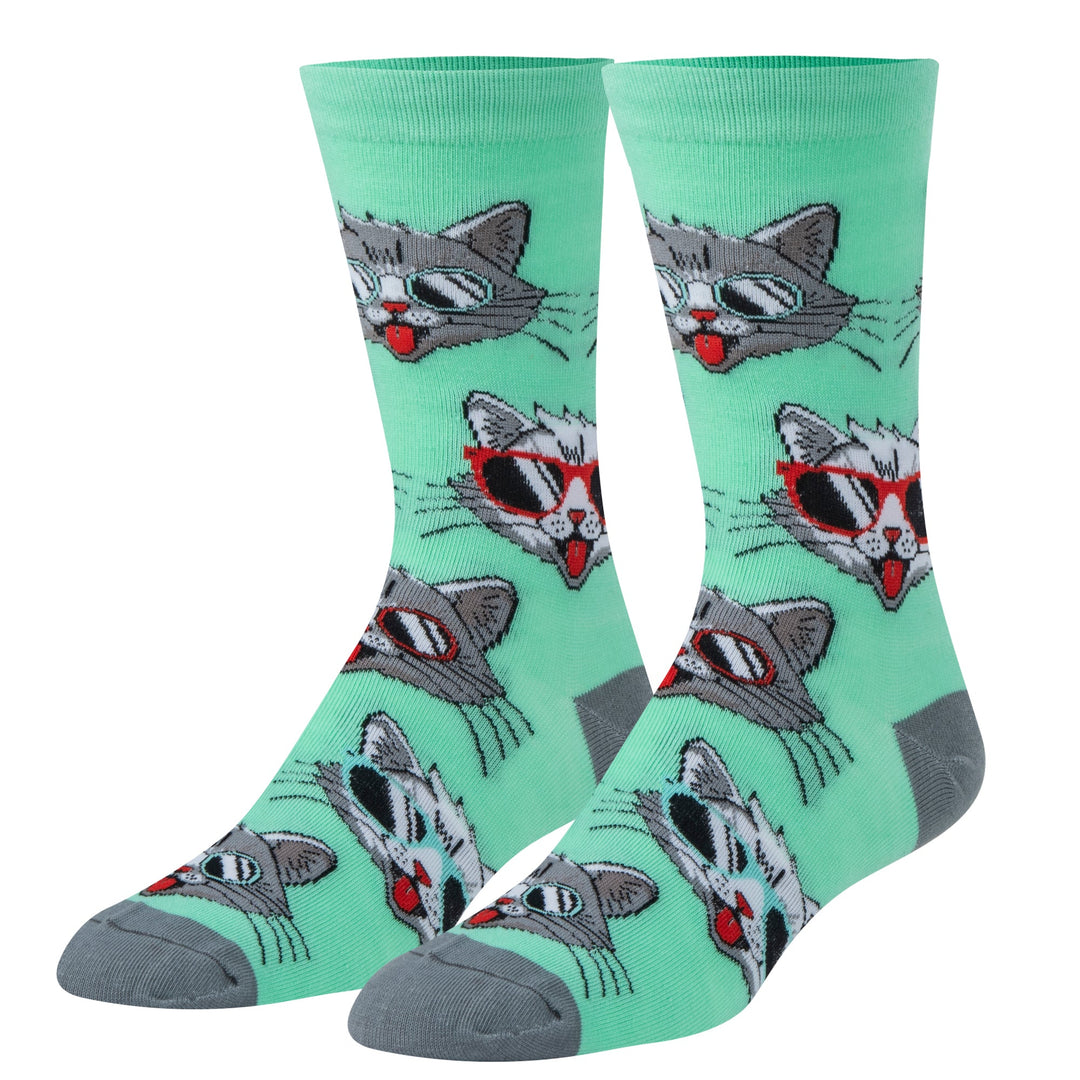 Cool Cats Crew Socks - Premium Socks from Crazy Socks - Just $7.00! Shop now at Pat's Monograms