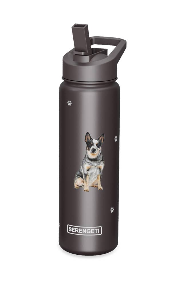 AUSTRALIAN CATTLE DOG, BROWN Stainless Steel Water Bottle 24 - Premium  from E&S Pets - Just $29.99! Shop now at Pat&