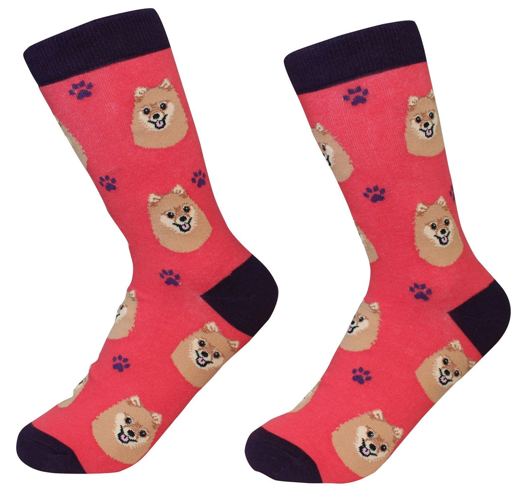 Pomeranian Socks - Premium Socks from Sock Daddy - Just $9.95! Shop now at Pat's Monograms