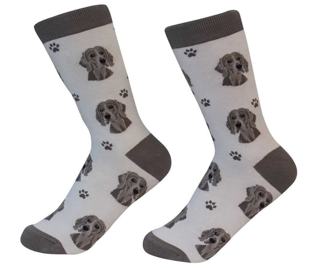 Weimeraner Socks - Premium Socks from Sock Daddy - Just $9.95! Shop now at Pat's Monograms