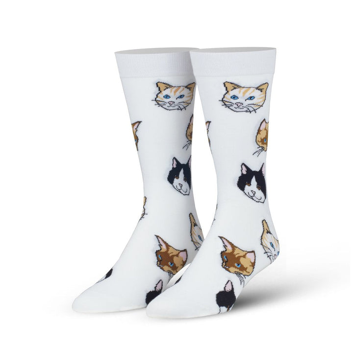 Cats Socks - Premium Socks from Cool Socks - Just $9.95! Shop now at Pat's Monograms
