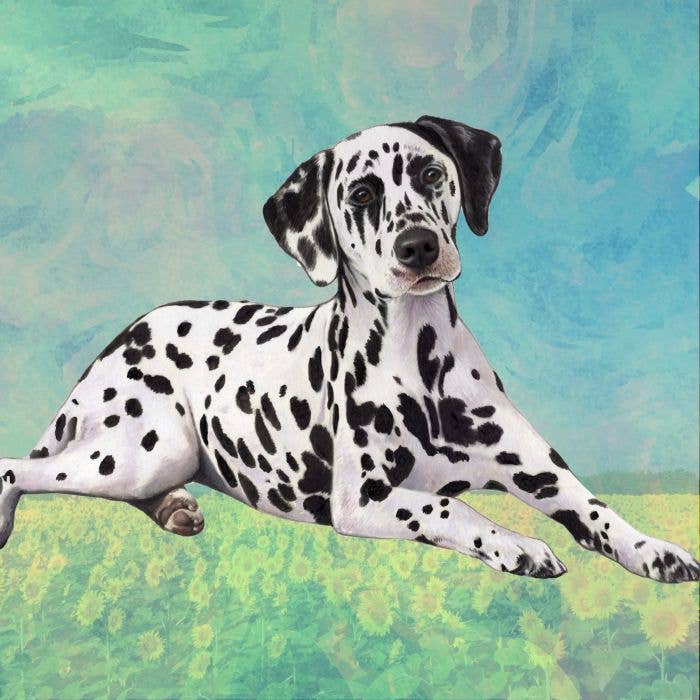 Dalmatian Square Coaster - Premium  from E&S Pets - Just $4.95! Shop now at Pat's Monograms