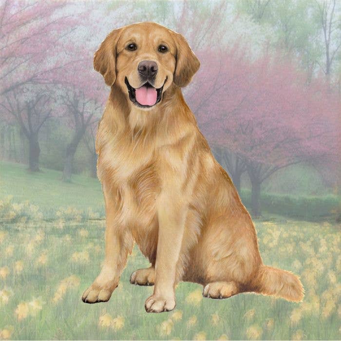 Golden Retriever Square Coaster - Premium  from E&S Pets - Just $4.95! Shop now at Pat's Monograms