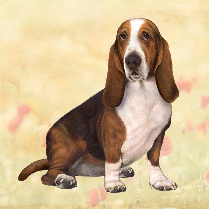 Basset Hound Square Coaster - Premium coaster from E&S Pets - Just $4.95! Shop now at Pat's Monograms