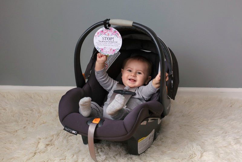 Floral Car Seat and Stroller - STOP germs - Premium Infant Accessories from Three Little Tots - Just $9.95! Shop now at Pat&